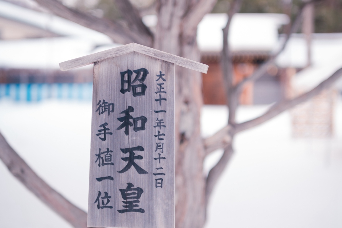 北海道札幌-北海道神宮